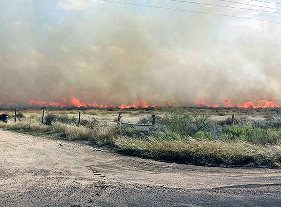 Grass fire burns 40 acres in Blue West