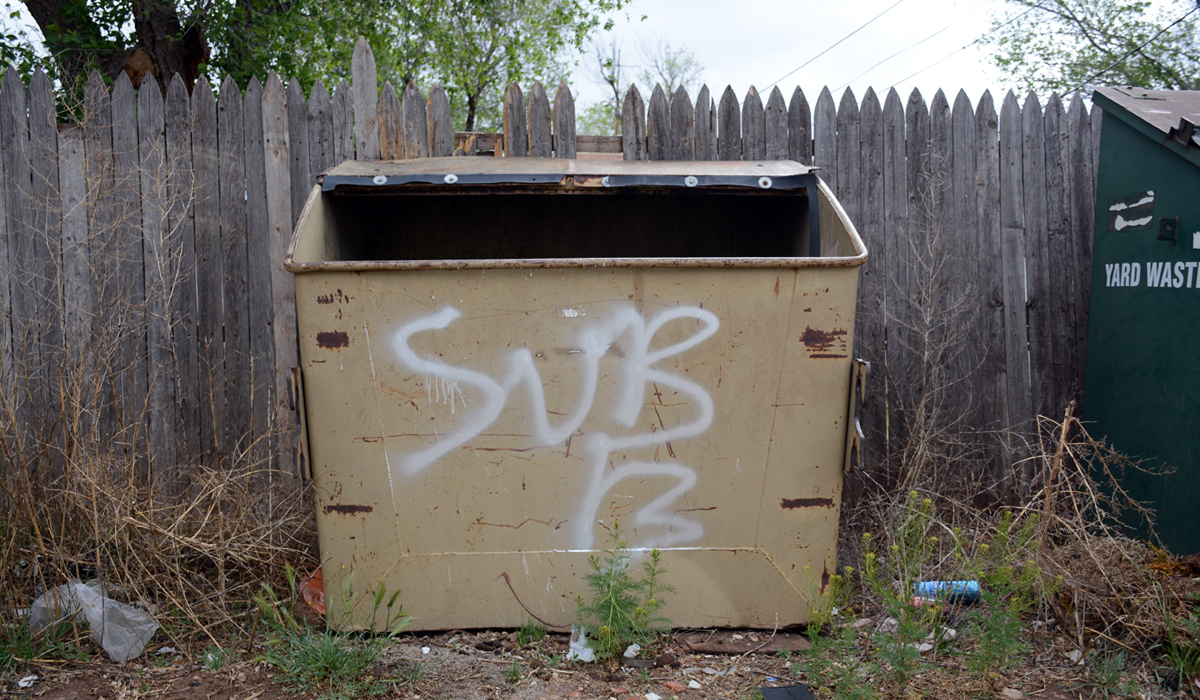 Buildings, garbage bins sprayed with graffiti