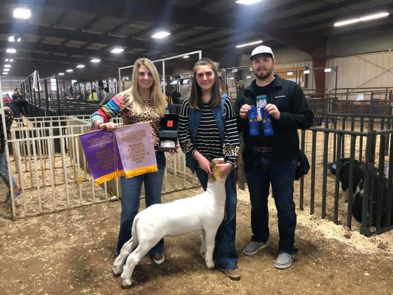 Workmanship of Moore County Youth on Display at Recent Stock Show